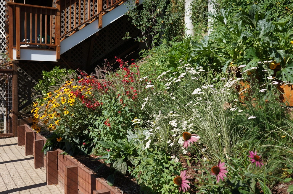 San Anselmo Garden by Buchholz Landscaping Company - Photo 2