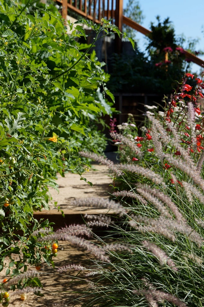 San Anselmo Garden by Buchholz Landscaping Company - Photo 3