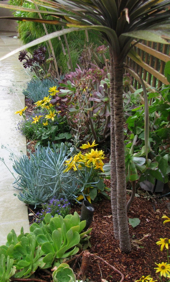 Mill Valley Garden by Buchholz Landscaping Company - Photo 3