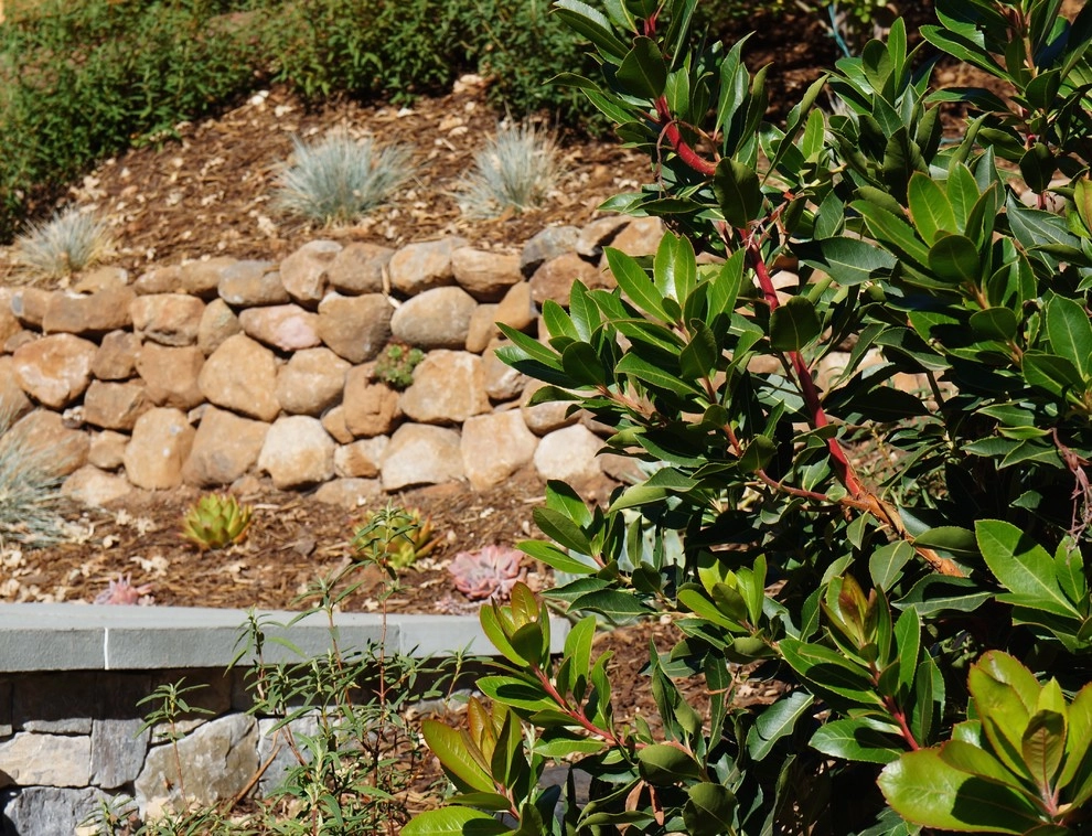 Buchholz Landscaping Company - Photo 4