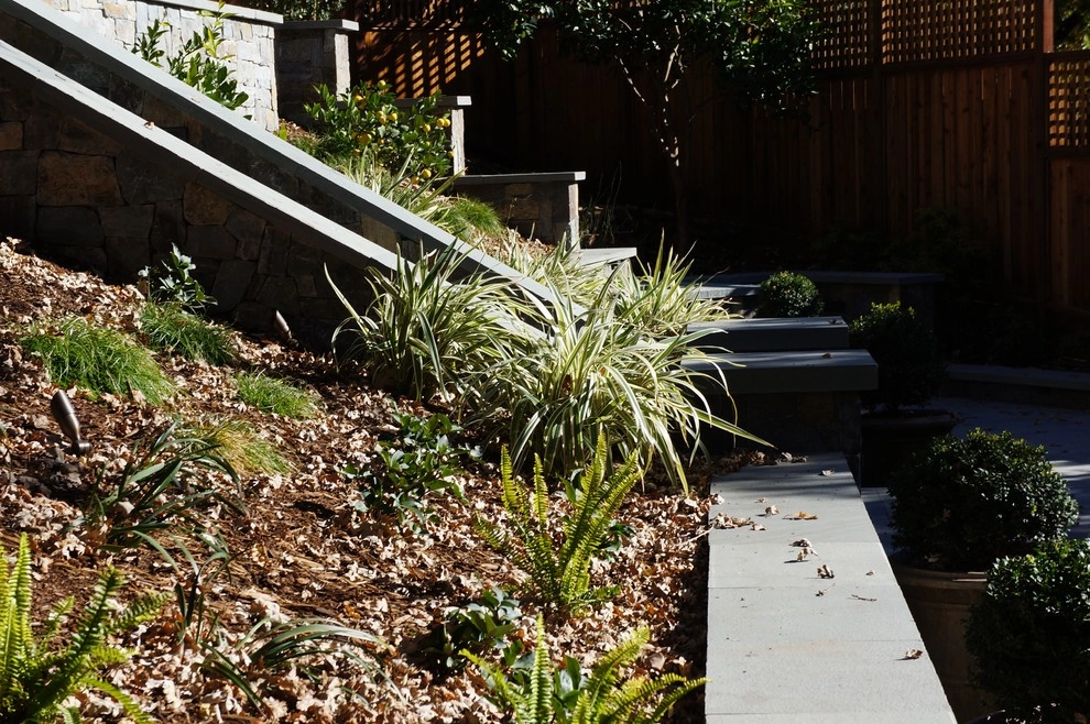 San Anselmo California by Buchholz Landscaping Company - Photo 5
