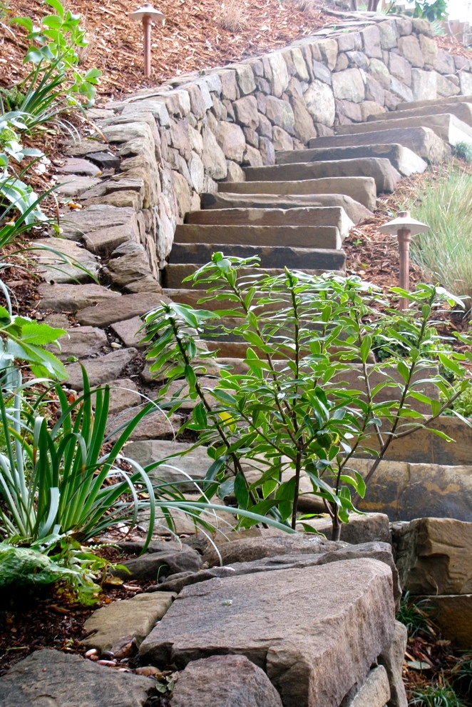 Mill Valley Garden by Buchholz Landscaping Company - Photo 4