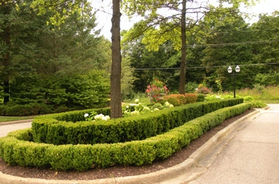 Bushwackers Landscaping, Inc. - Photo 9