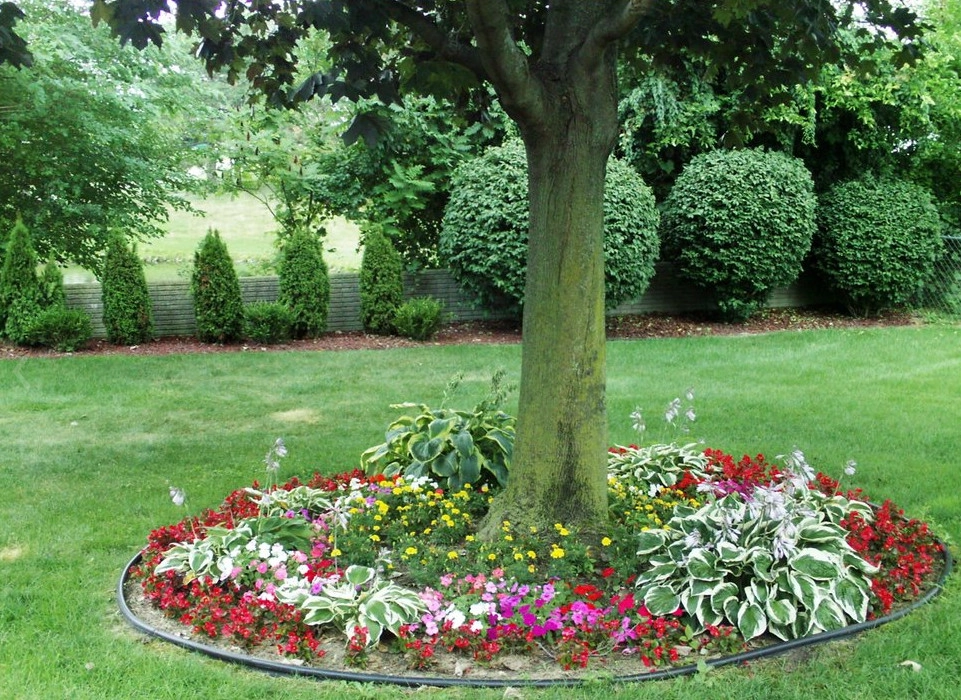 Bushwackers Landscaping, Inc. - Photo 8