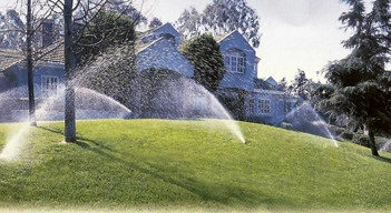 Bushwackers Landscaping, Inc. - Photo 10