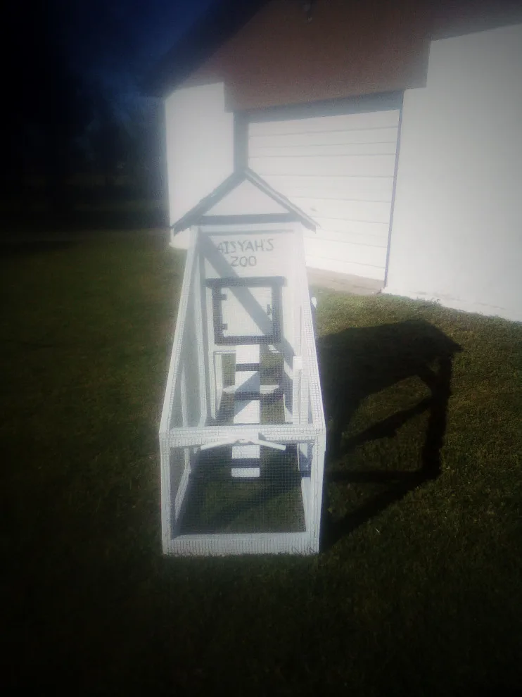 Bespoke chicken tractor (coop) by Higgs Homes - Photo 6