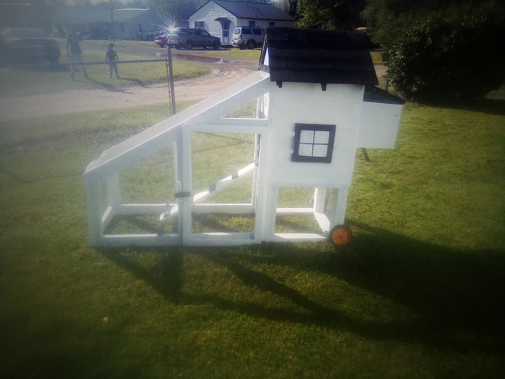 Bespoke chicken tractor (coop) by Higgs Homes - Photo 7