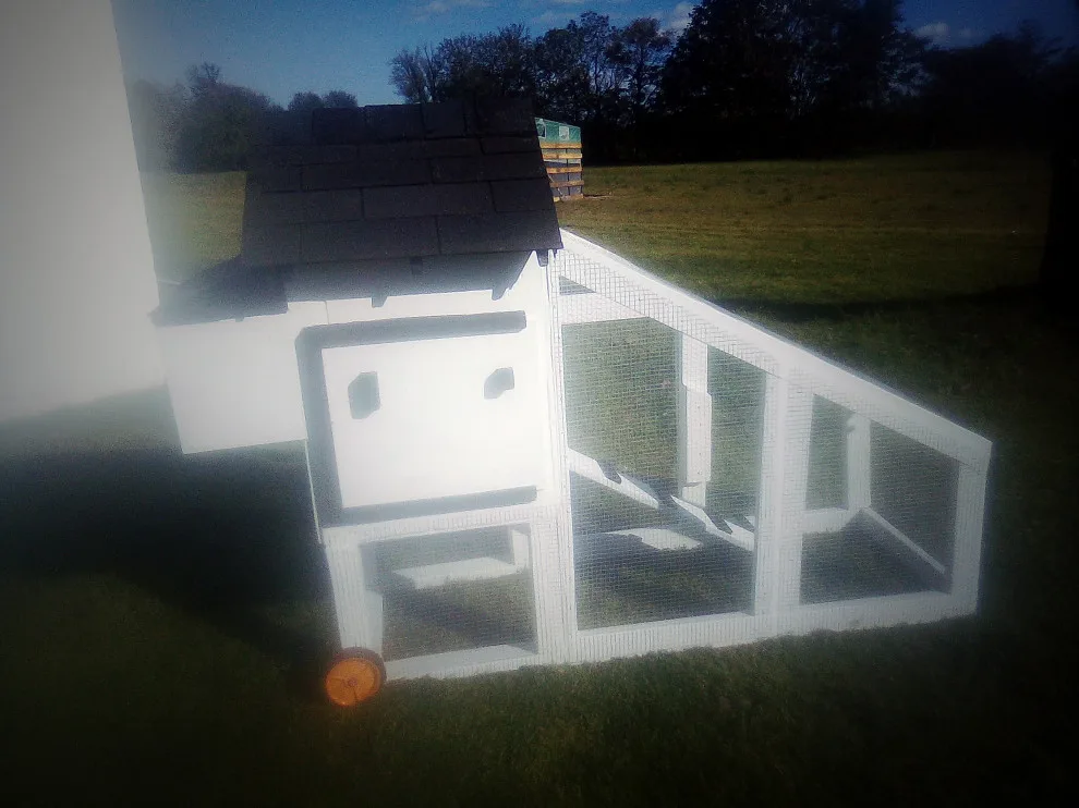 Bespoke chicken tractor (coop) by Higgs Homes - Photo 3