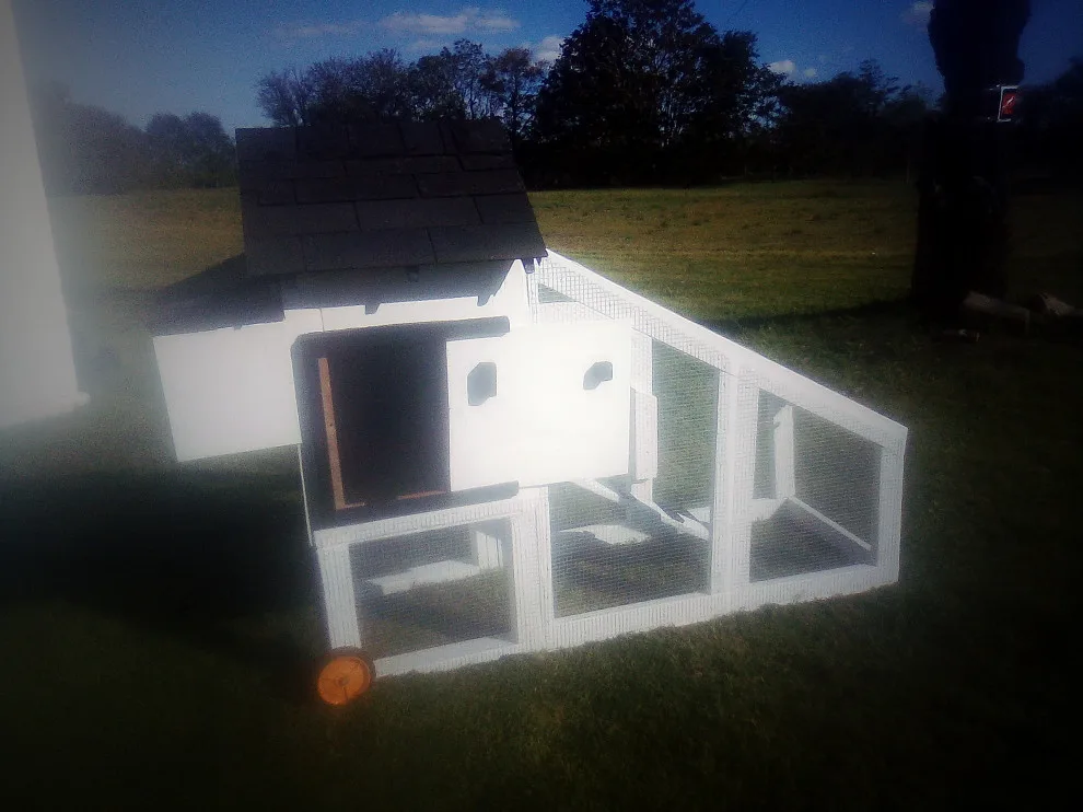 Bespoke chicken tractor (coop) by Higgs Homes - Photo 4
