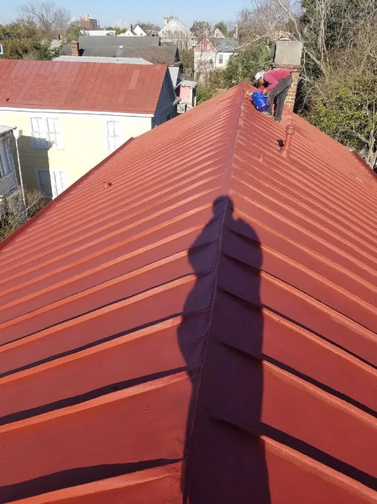 19th Century Terne Metal Roofing by Tideline Homes - Photo 2