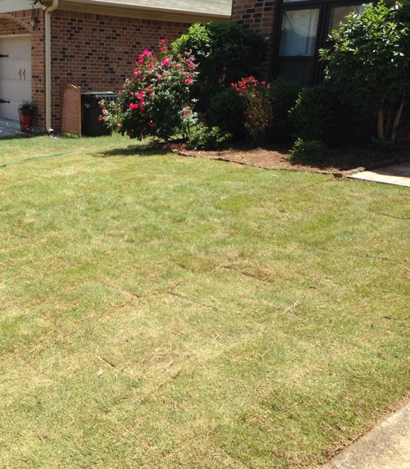 Cahaba Valley Landscaping Services LLC - Photo 2