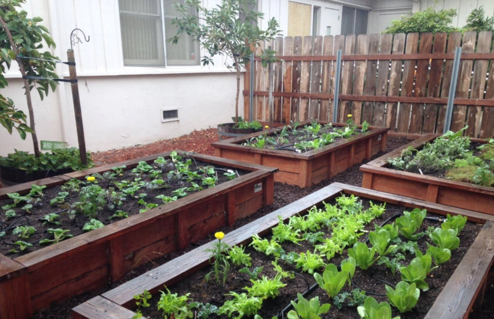 California Farm And Garden - Photo 14