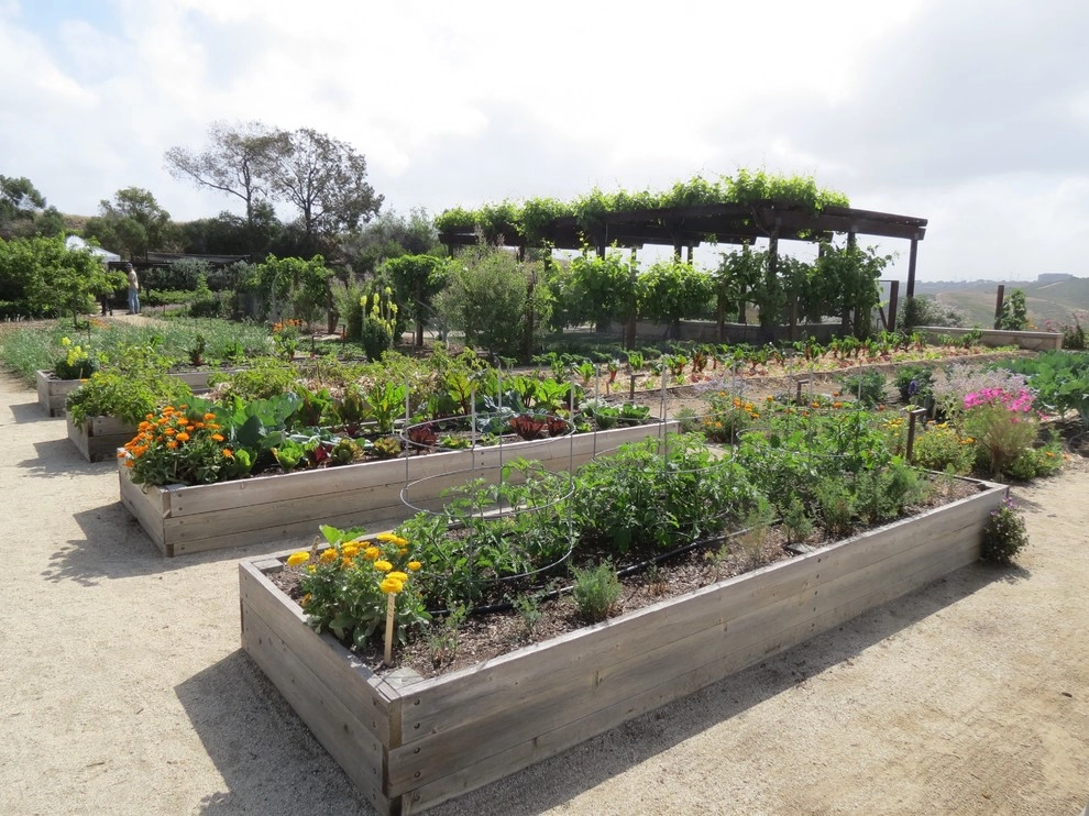 California Farm And Garden - Photo 2