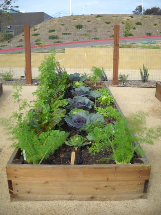 Urban Farms by California Farm And Garden - Photo 6