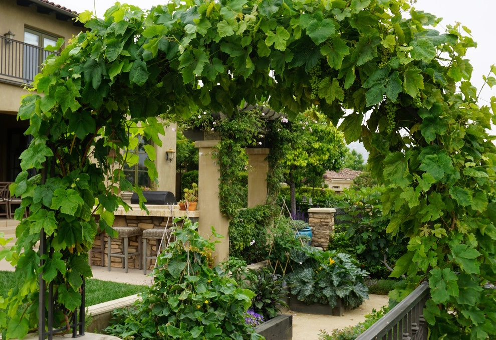 Urban Residential Garden by California Farm And Garden - Photo 3