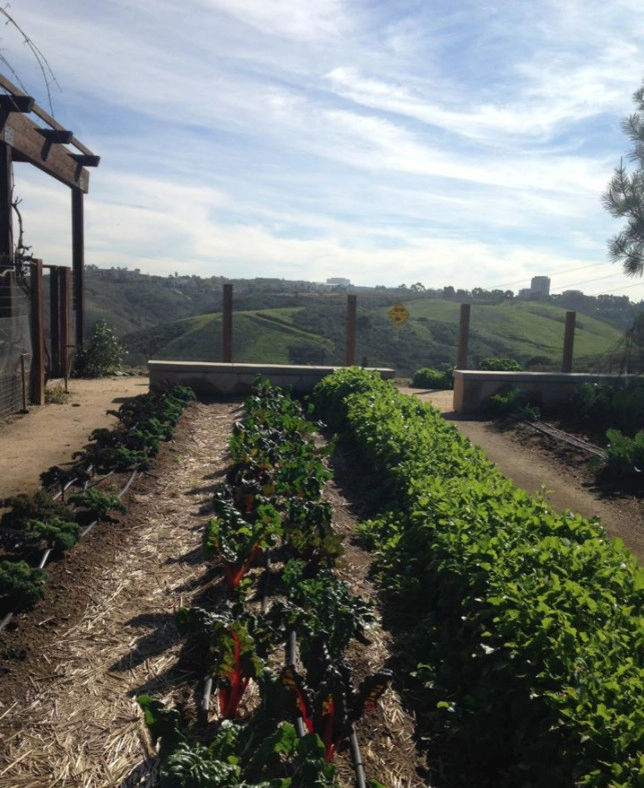 California Farm And Garden - Photo 9