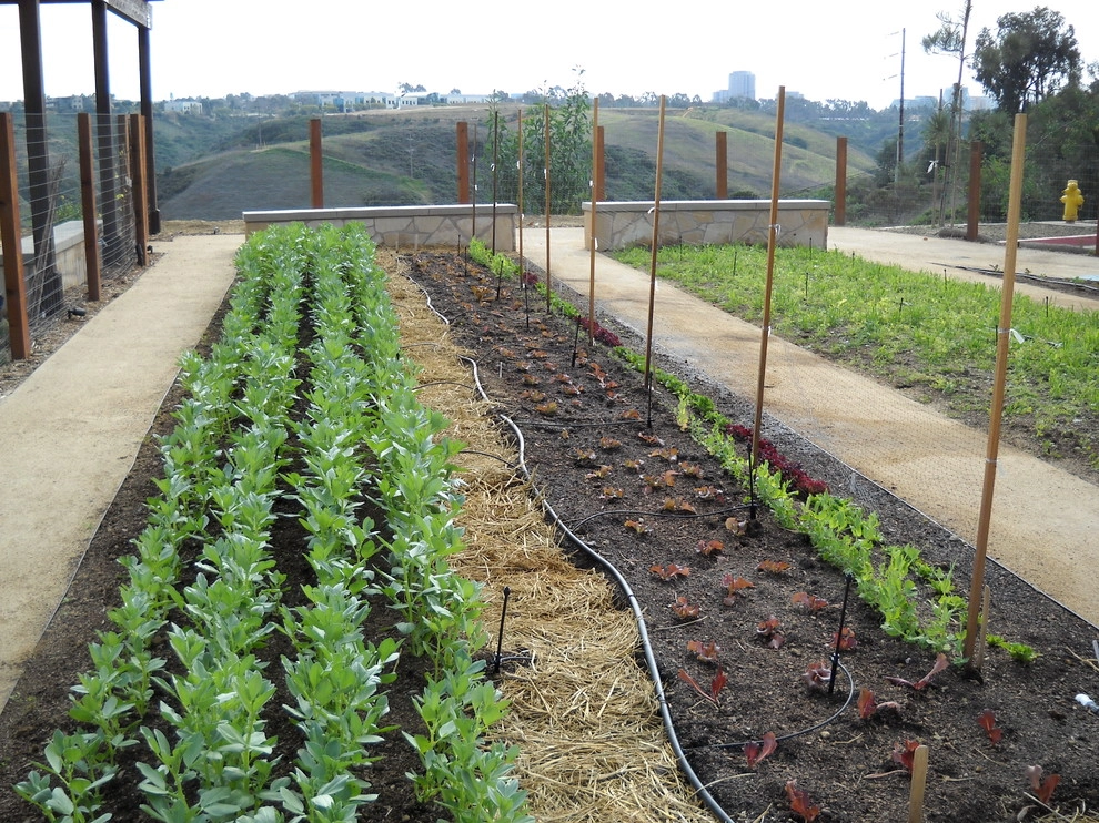 Urban Farms by California Farm And Garden - Photo 9
