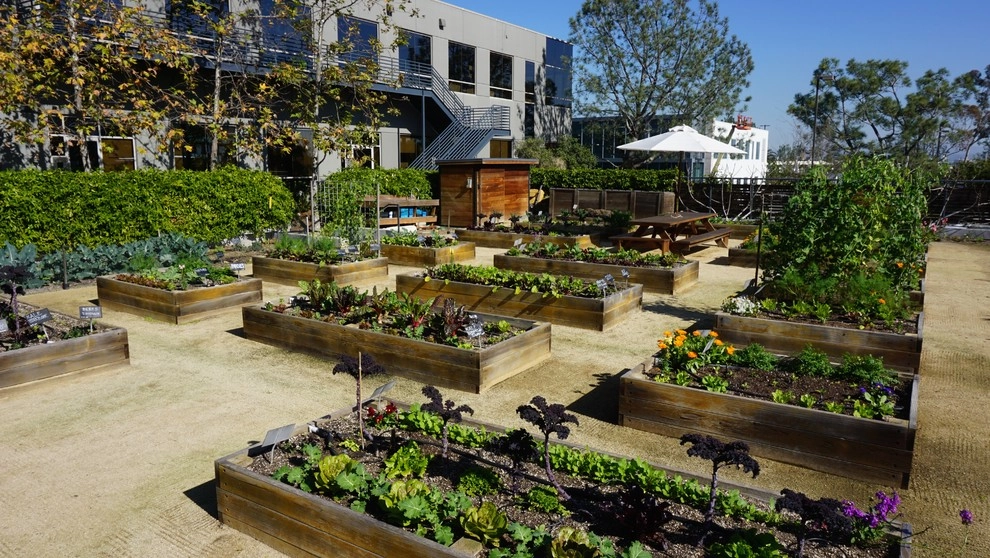 Urban Farms by California Farm And Garden - Photo 7