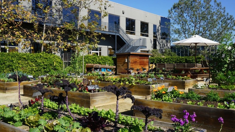 Urban Farms by California Farm And Garden - Photo 13