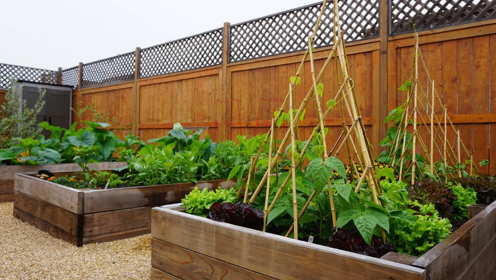California Farm And Garden - Photo 12