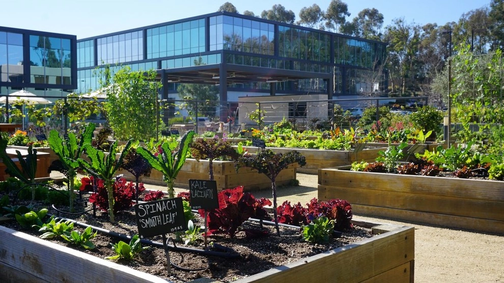 Urban Farms by California Farm And Garden - Photo 15