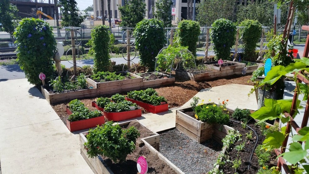 Urban Farms by California Farm And Garden - Photo 10