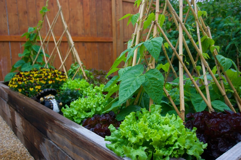 Urban Residential Garden by California Farm And Garden - Photo 6