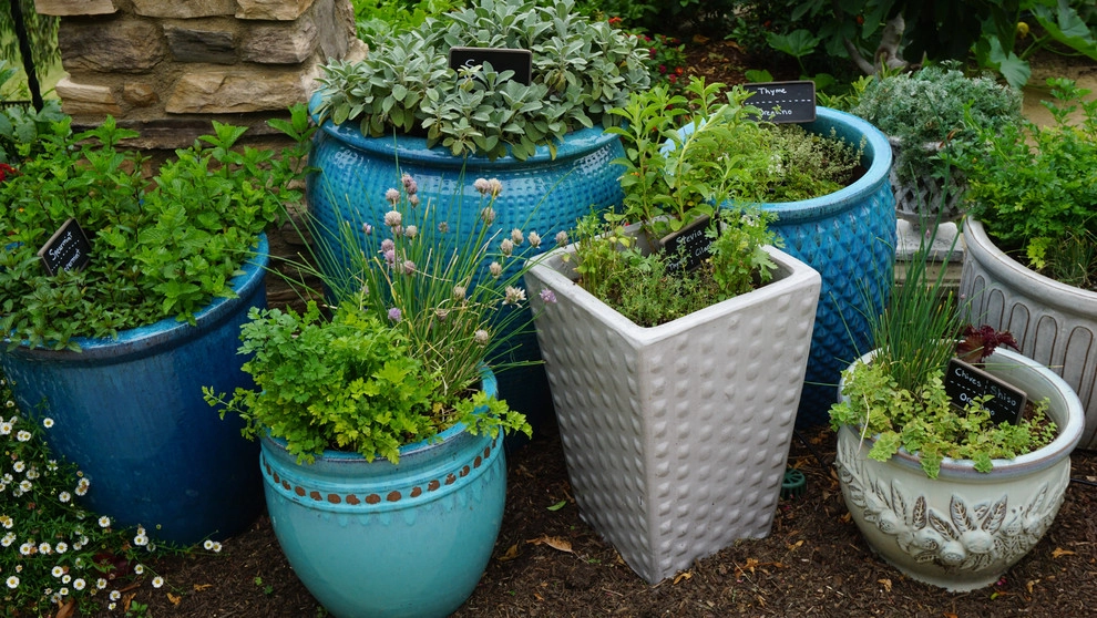 Urban Residential Garden by California Farm And Garden - Photo 4