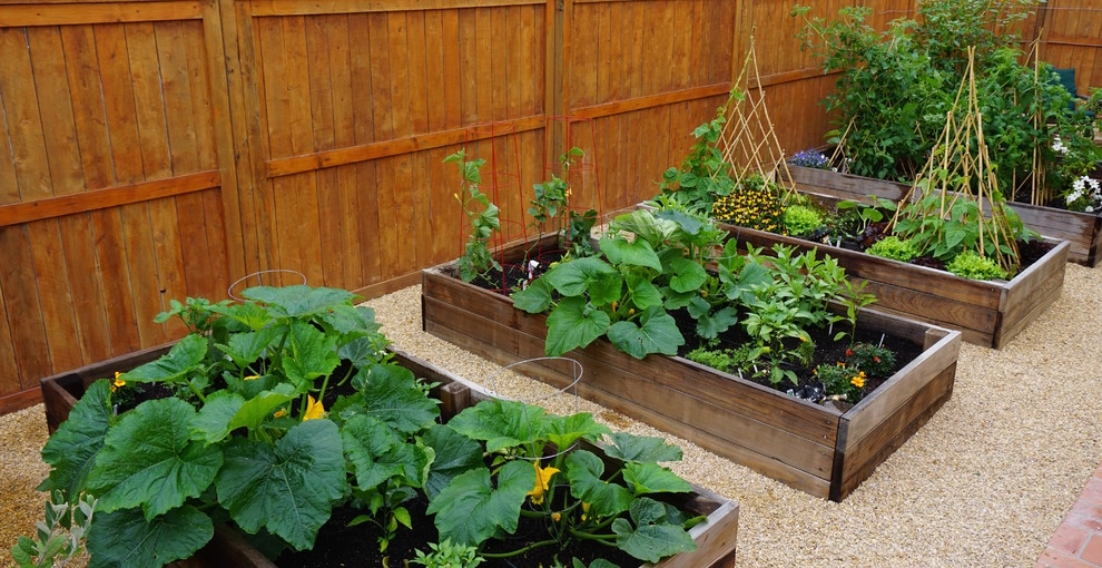 Urban Residential Garden by California Farm And Garden - Photo 5