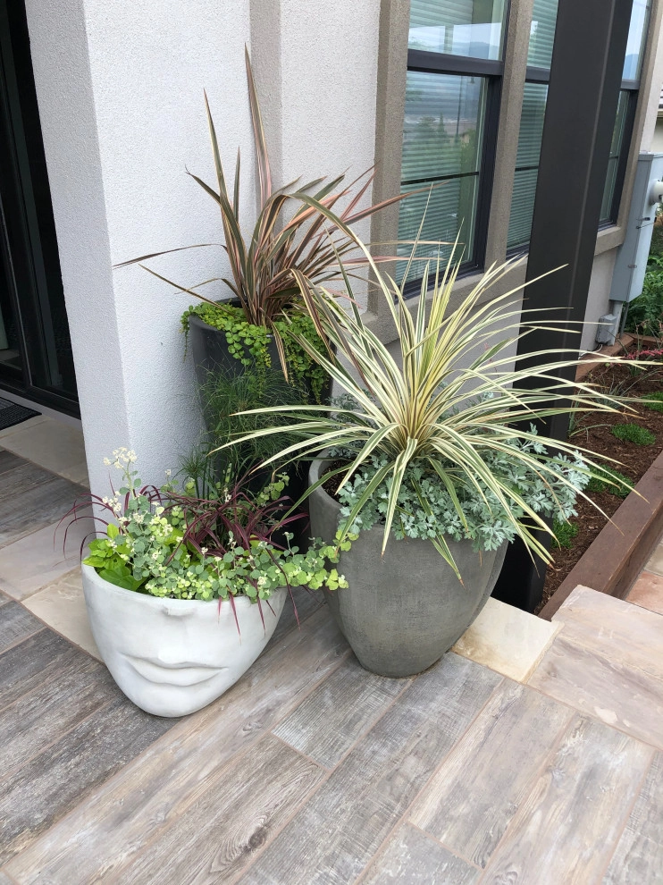 Modern Oasis by C&H Landscaping - Photo 9