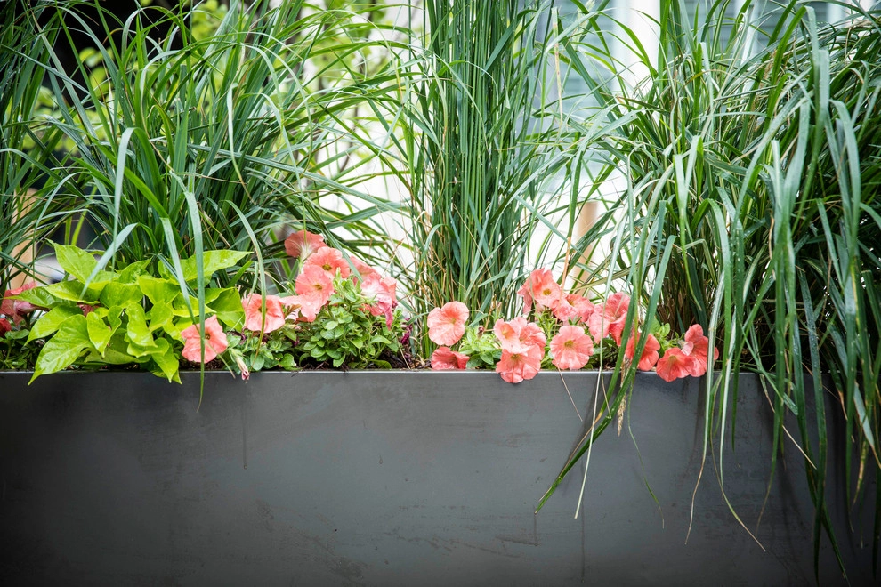 Contemporary Solterra Sanctuary by C&H Landscaping - Photo 11