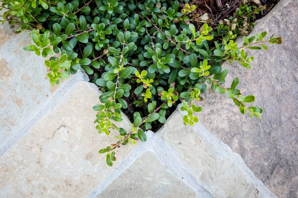 Mediterranean Sunken Patio in Littleton by C&H Landscaping - Photo 8