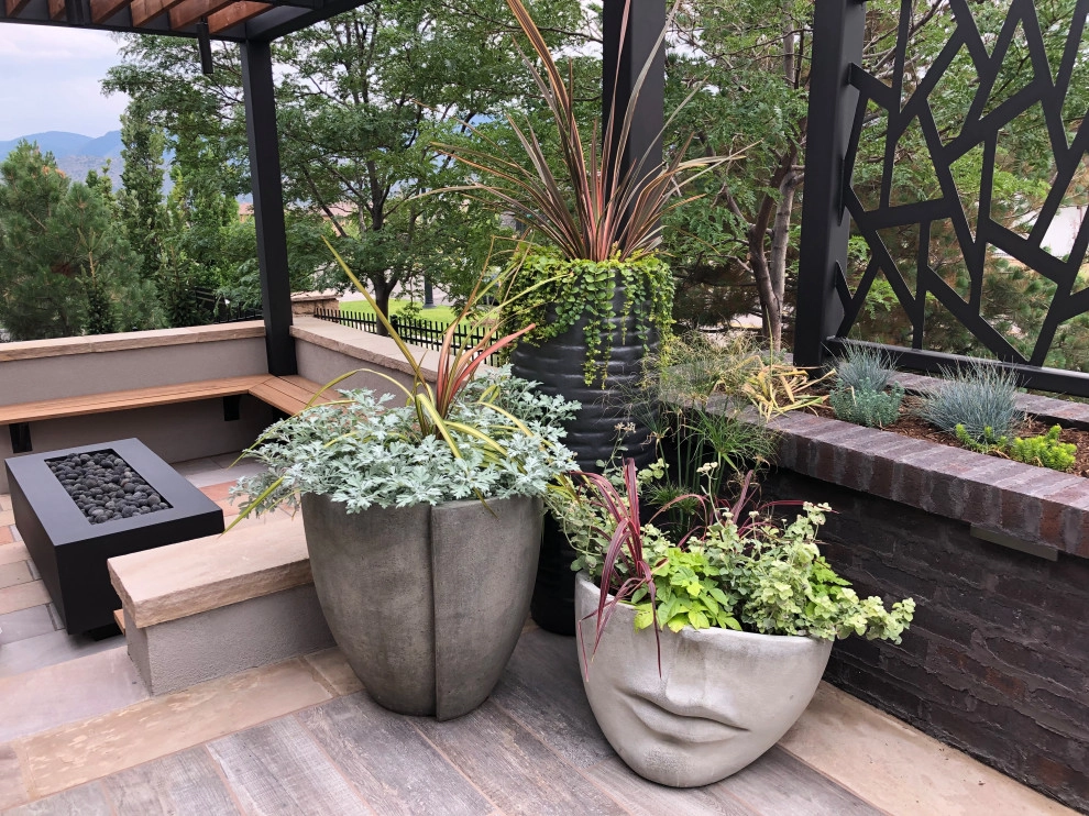 Modern Oasis by C&H Landscaping - Photo 3
