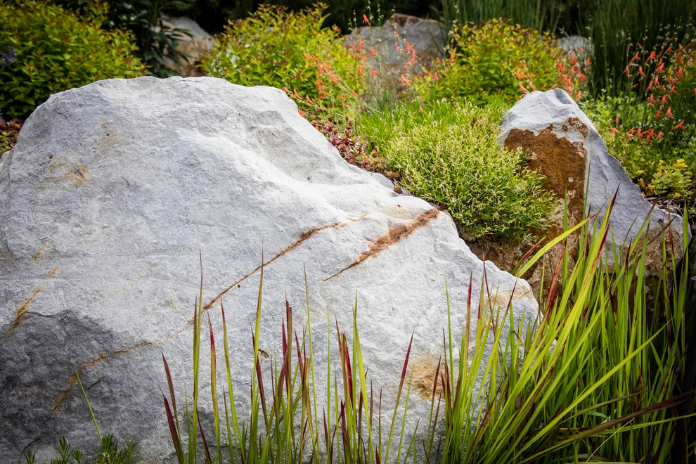 Colorful Colorado Hillside by C&H Landscaping - Photo 3