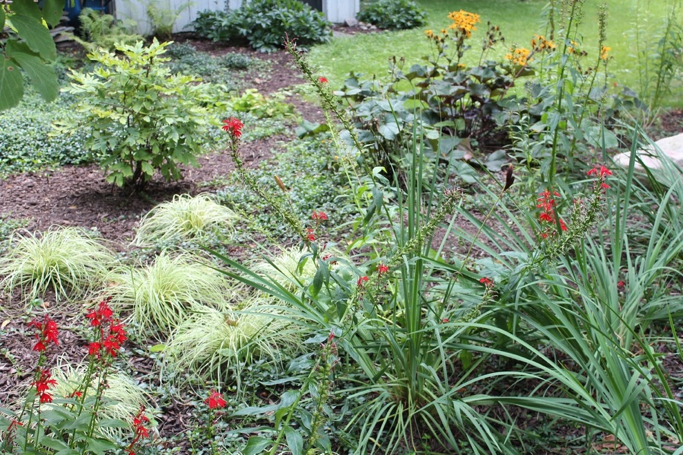 Landscape Beds by Canopy Landscapes - Photo 2