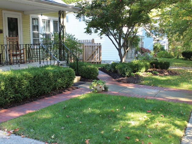 Canopy Landscapes - Photo 11