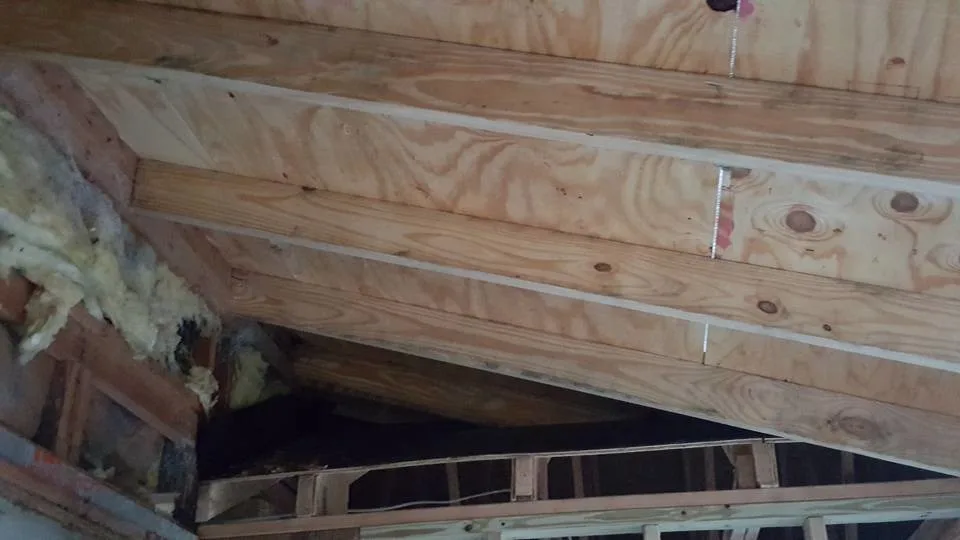 Greenmont Structural Restoration by Avant & Avant Construction Inc - Photo 9