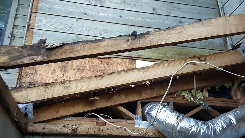 Greenmont Structural Restoration by Avant & Avant Construction Inc - Photo 13