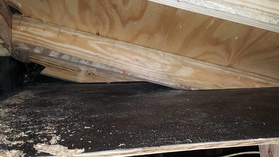 Greenmont Structural Restoration by Avant & Avant Construction Inc - Photo 14