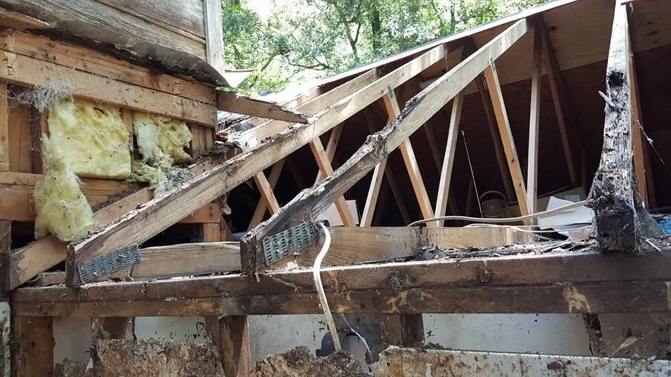 Greenmont Structural Restoration by Avant & Avant Construction Inc - Photo 18