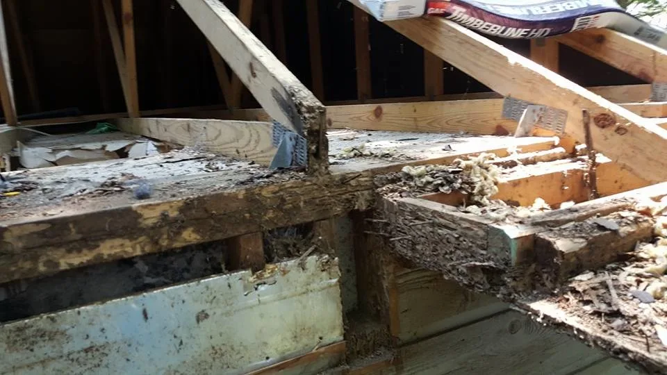Greenmont Structural Restoration by Avant & Avant Construction Inc - Photo 12