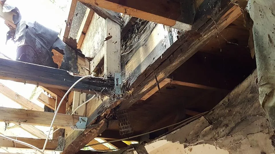 Greenmont Structural Restoration by Avant & Avant Construction Inc - Photo 5