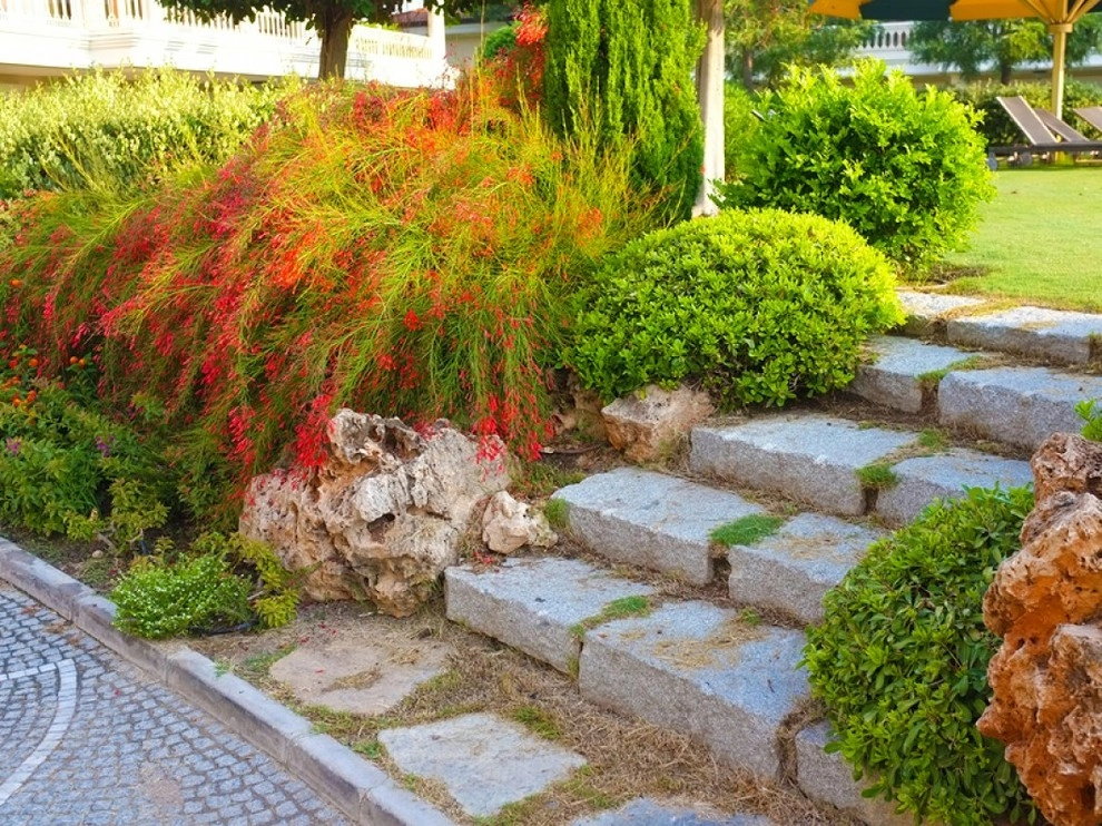 Carolyn's Landscaping, Inc. - Photo 13