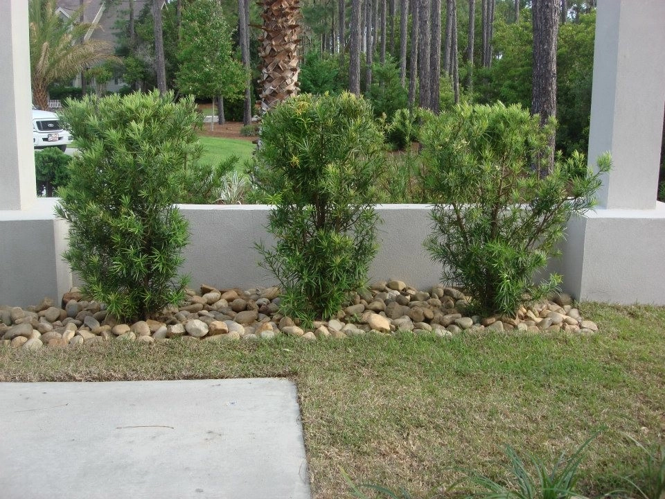 Carolyn's Landscapes Portfolio by Carolyn's Landscaping, Inc. - Photo 16