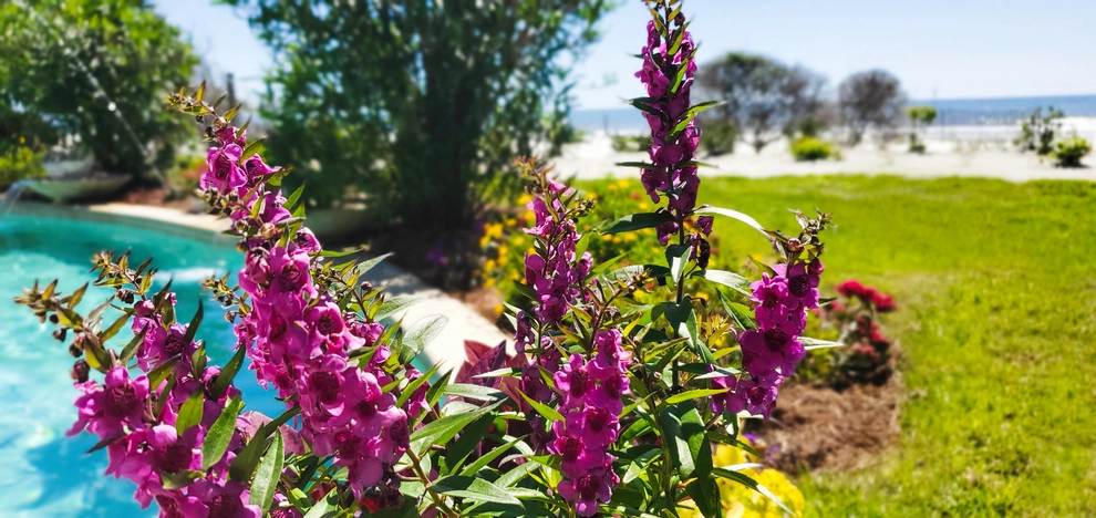 Gardens by Carolyn's Landscaping, Inc. - Photo 2