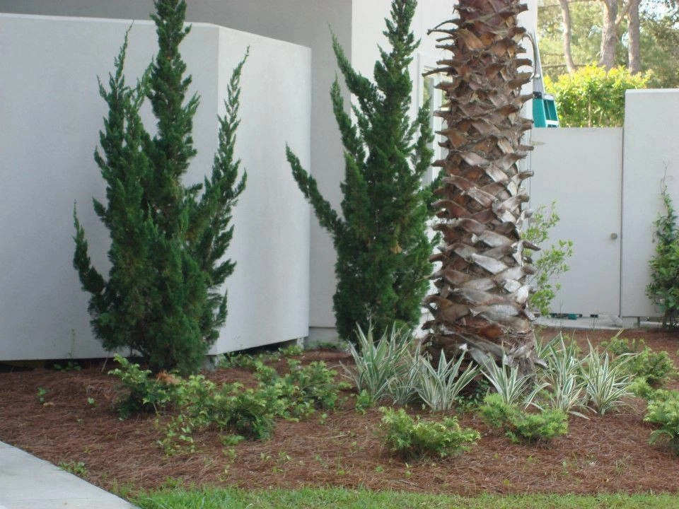 Carolyn's Landscapes Portfolio by Carolyn's Landscaping, Inc. - Photo 15