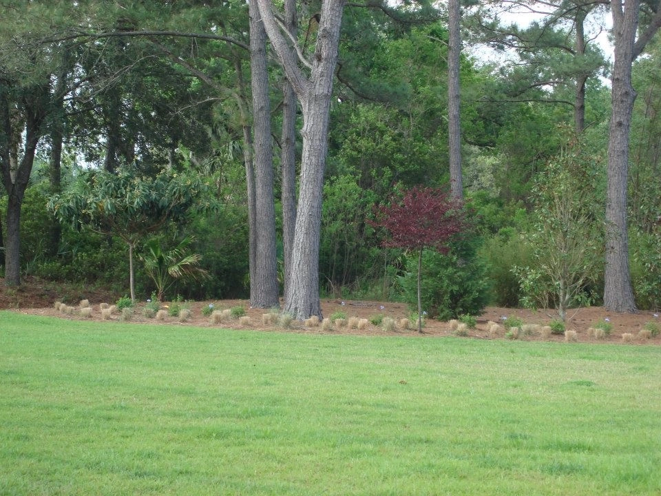 Carolyn's Landscapes Portfolio by Carolyn's Landscaping, Inc. - Photo 13