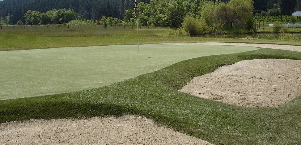 Synthetic Putting Greens by Cascade Greens, LLC, Synthetic Installations - Photo 14