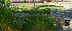 Residential Applications by Cascade Greens, LLC, Synthetic Installations - Photo 3
