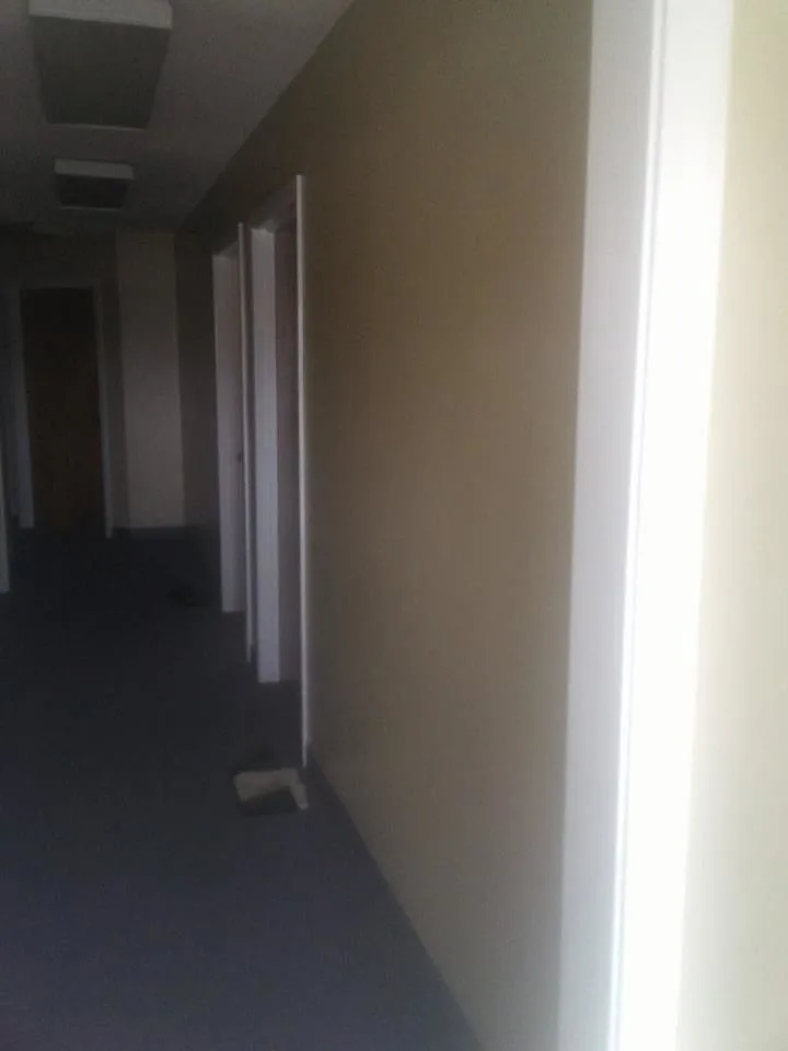 Wall Coating by Lizards Business Venture, LLC - Photo 3